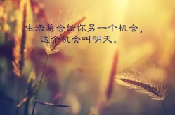 每日一句励志短句,勇敢追梦，无畏前行