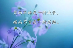 表达人生感悟的精辟句子,感悟人生真谛