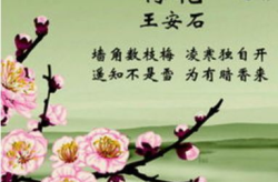 关于母亲的诗句,岁月含情——古韵诗句中的母爱颂歌