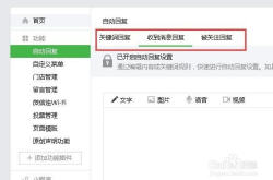 个人微信自动回复设置,个性化自动回复设置指南”