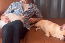 情绪投射占领话题高地二零二四综艺出圈靠情感宣泄？｜年度盘货，免费涩涩同人18正在线漫画软件下载免费涩涩同人18正在线幼處女末发育嫩苞（629吃瓜（2024已更新）最新版本-IOS安卓通用版）