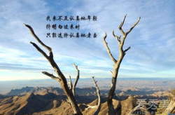 致自己的短句8个字,致自己，八个字的人生感悟”