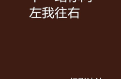 向左一直去打一字,一字谜的智慧之旅”
