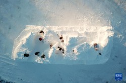 黑料不打烊吃瓜爆料引发网友热议八卦内幕层出不穷你准—11吃瓜爆料就看黑料