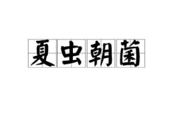 未字开头的成语,预见未来——未字开头的成语智慧解析